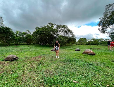 Persona junto a tortugas gigantes.