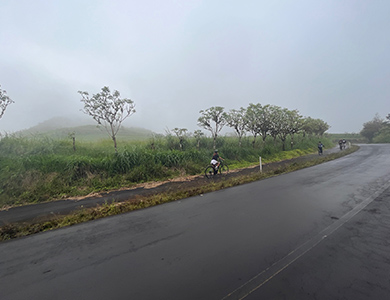 Ciclistas en la isla Santa Cruz Galápagos