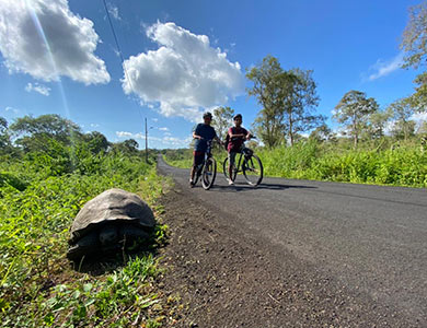 Ciclistas junto a una tortuga gigante de Galápagos.