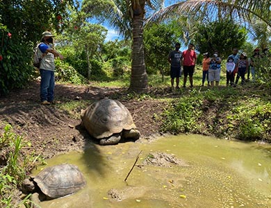 Personas observando tortugas gigantes en el rancho Frontier