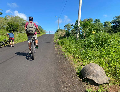Cyclists heading to the Frontier Reserve.